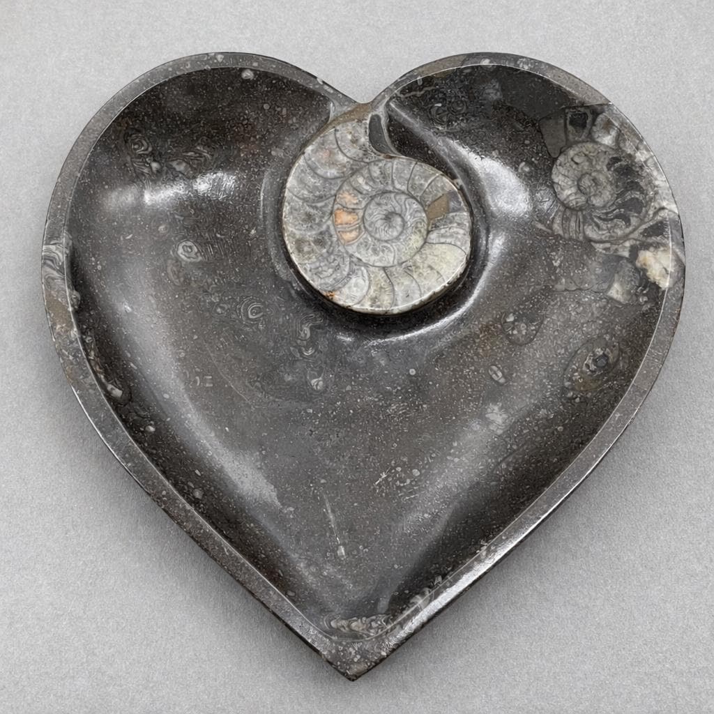 Heart-shaped decorative plate with dark speckled finish and white ammonite inlay
