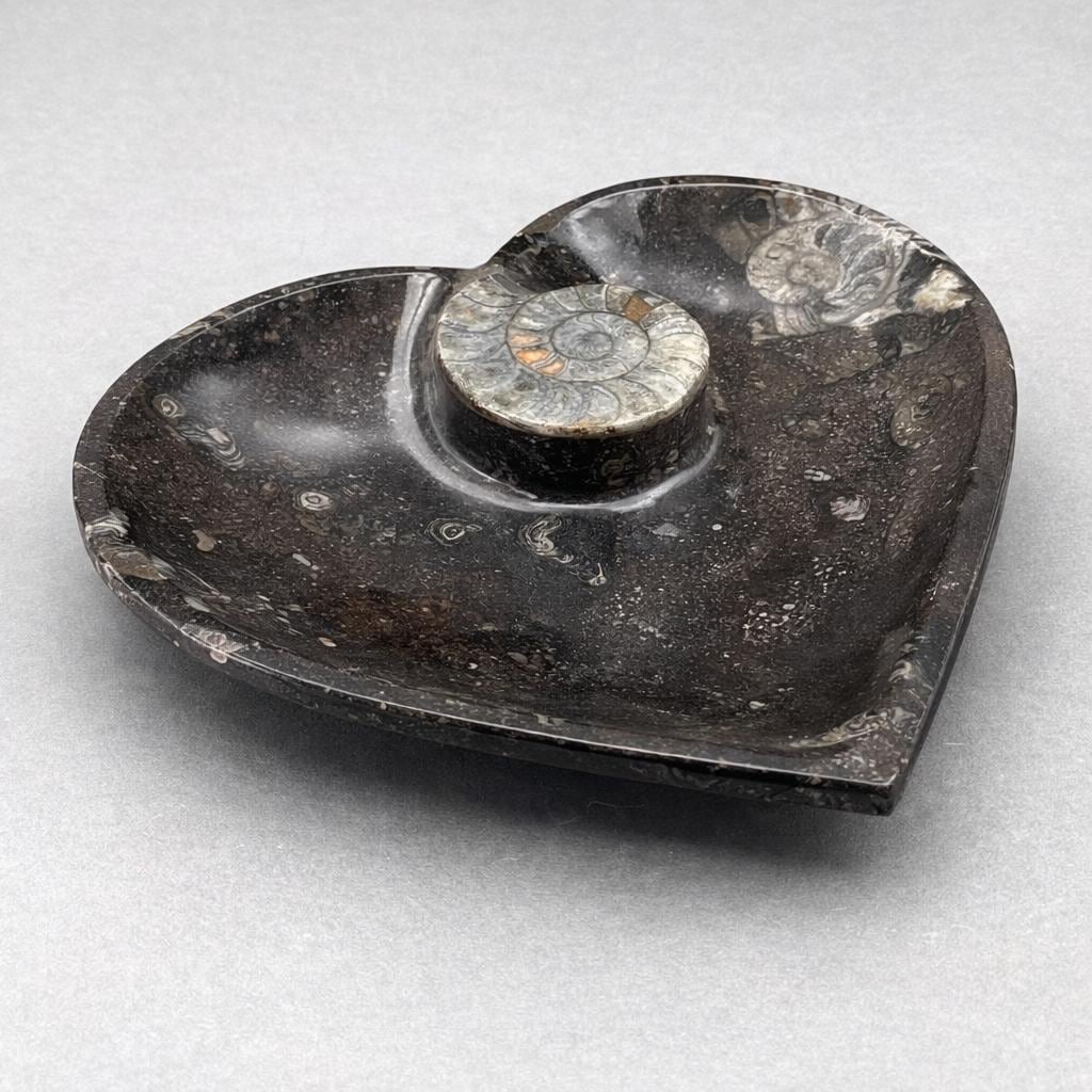 Heart-shaped plate with dark speckled surface and raised white ammonite center design