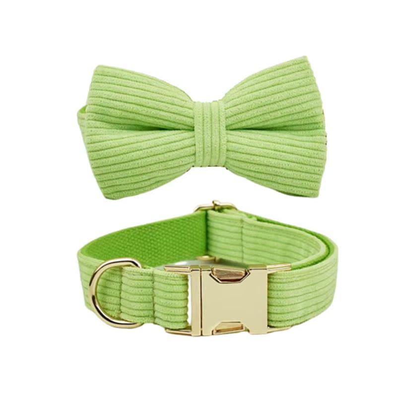 Apple green corduroy dog collar with ID tag and matching bow tie