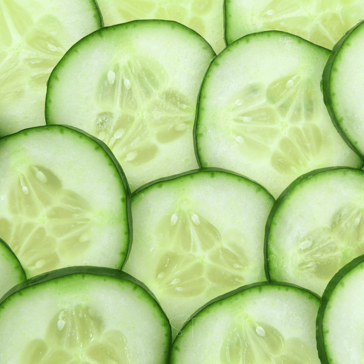Cucumber seeds packet: close-up of sliced light-green cucumber rounds
