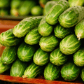 Cucumber seeds packet: pile of fresh green cucumbers with bumpy skin