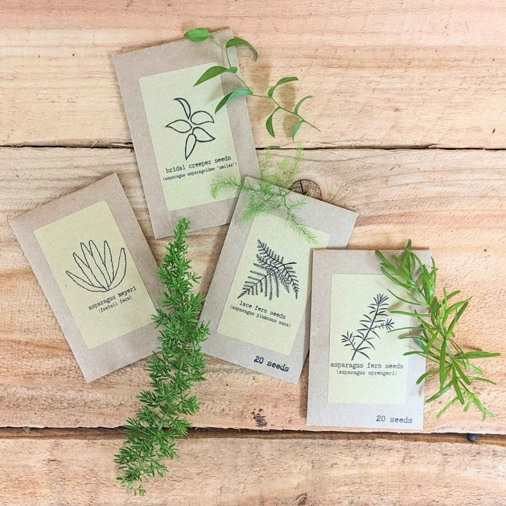 Houseplant seed packets with fern drawings and seed count labels, assorted varieties