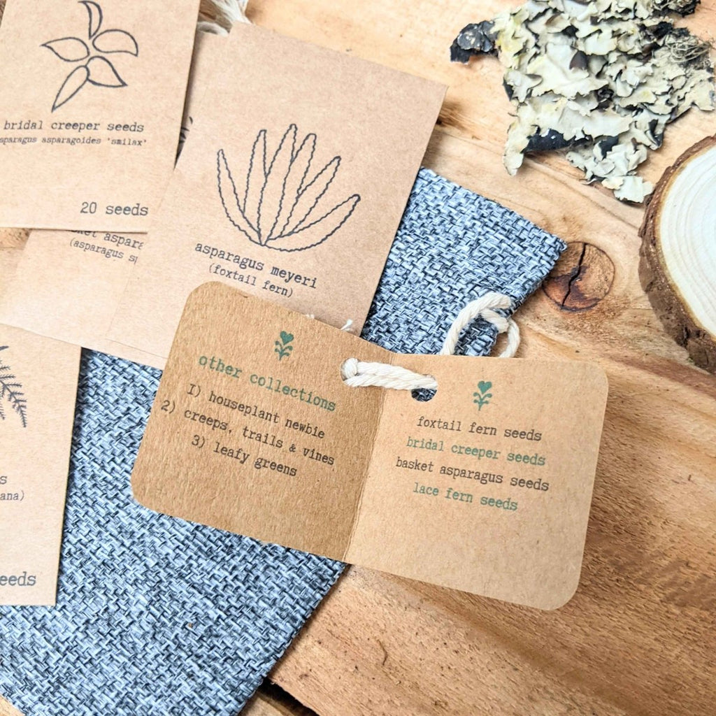 Fern seed packet assortment with kraft labels and twine bundle, showing multiple varieties
