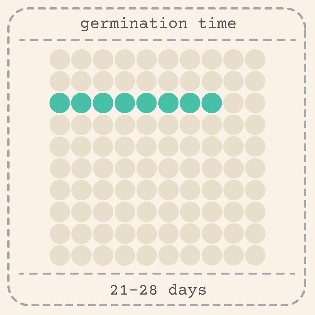 Germination chart with 21–28 days and teal seed sprout dots