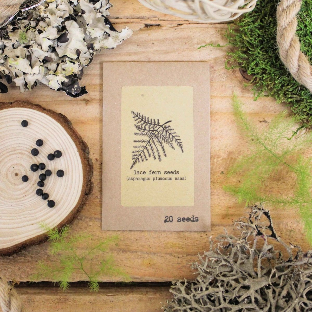 Lace fern seed packet on wood with dark fern illustration and 20 seeds