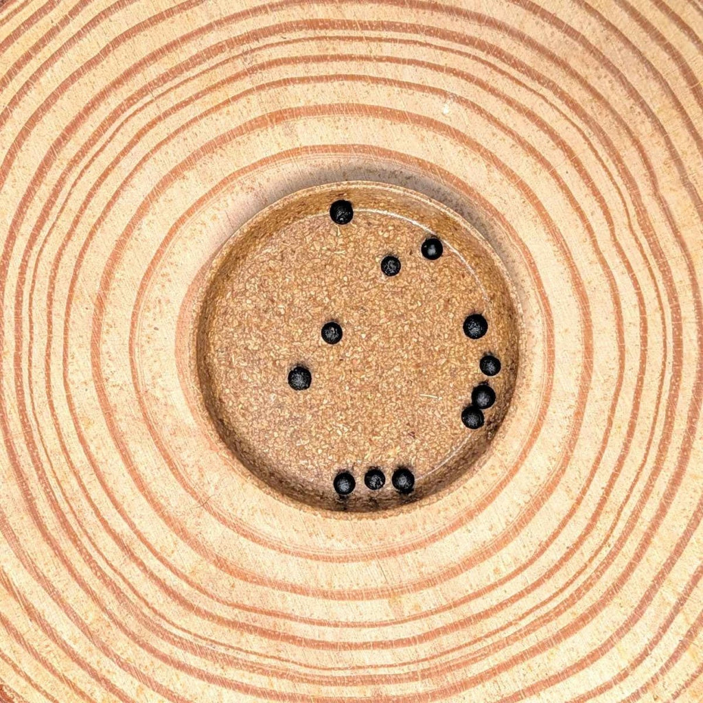 Lace fern seeds shown as black dots in circular tray on tan card
