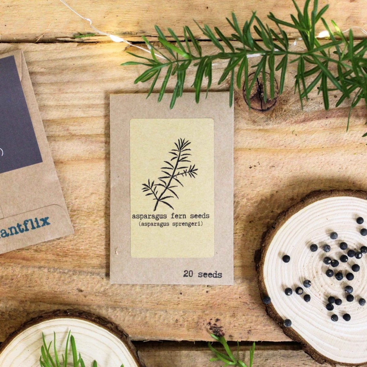 Asparagus fern seed packet on wood with scattered seeds and small sprouts