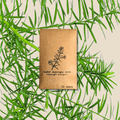 Asparagus fern seed packet with fern illustration and “20 seeds” label