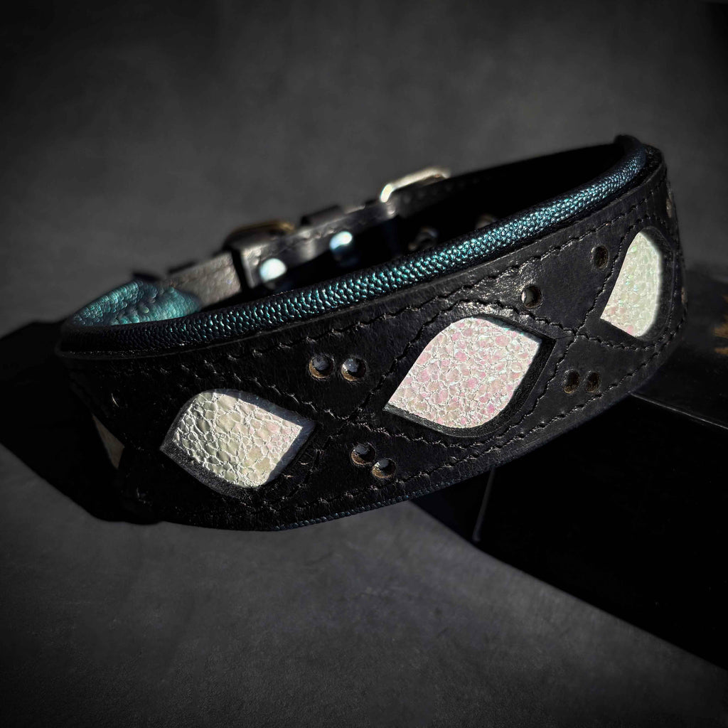 Black dog collar with teal border, studded holes, and heart-shaped patch accents