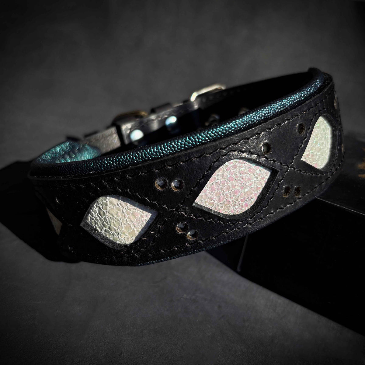 Black dog collar with teal border, studded holes, and heart-shaped patch accents