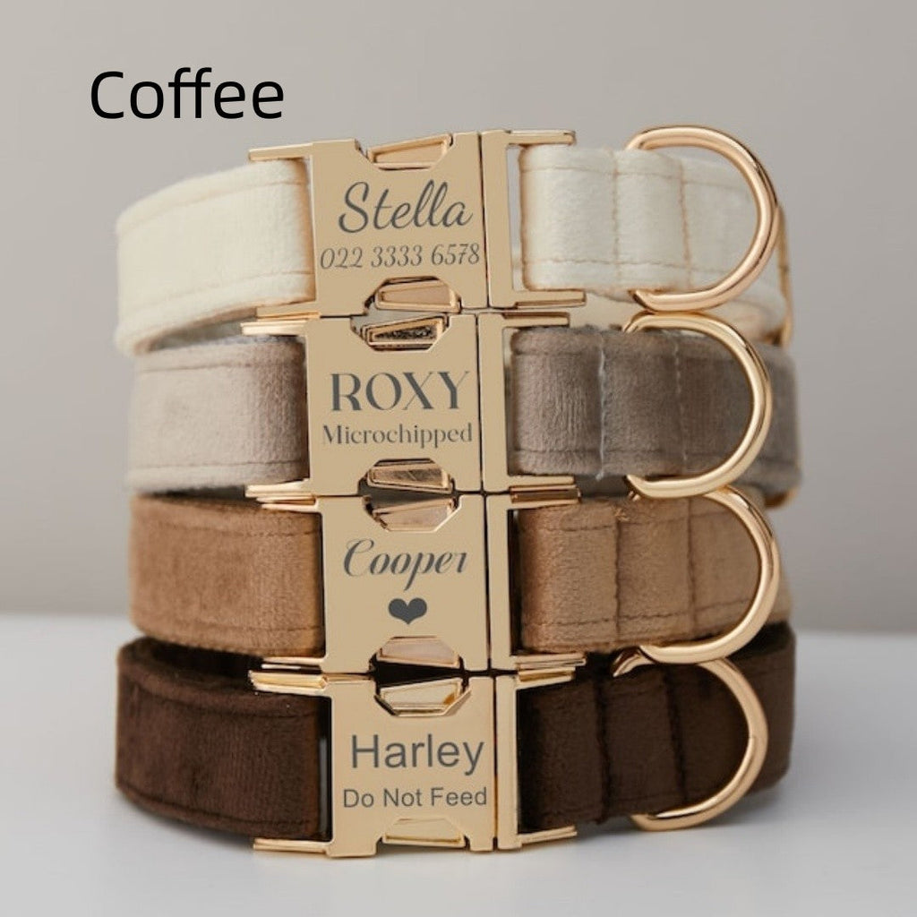 Velvet dog collar set in coffee with name tag and gold-tone buckle, stack view