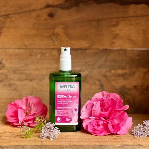Wild Rose 24H deodorant spray bottle with pump sprayer, pink flowers nearby