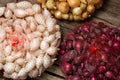 Mixed onion sets in mesh bags: white, yellow, and red bulbs.