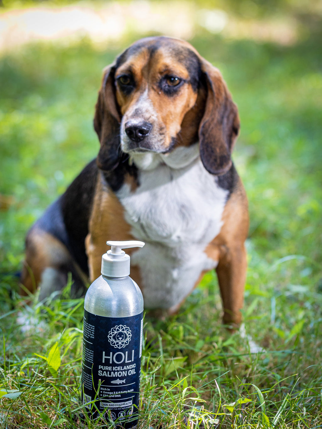 Salmon oil bottle with white pump in grass with a beagle dog in the background