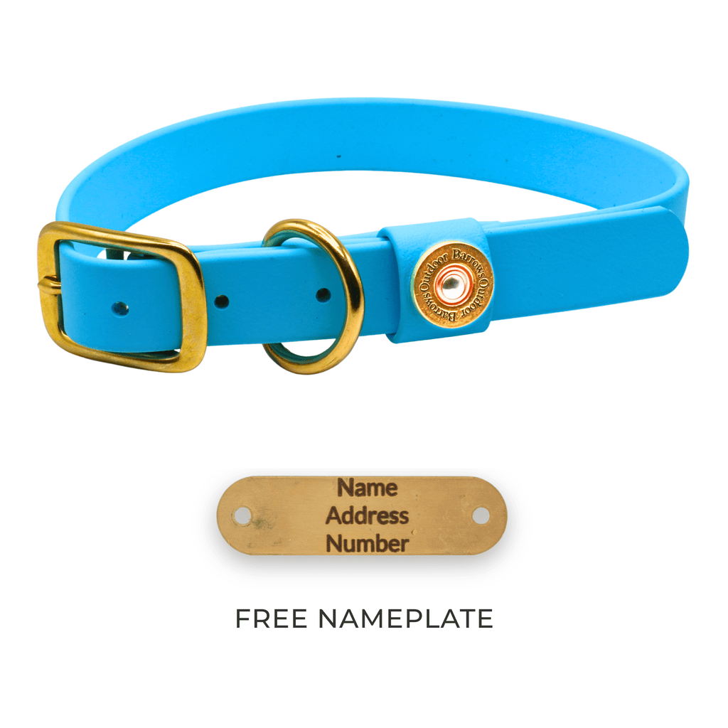 Teal dog collar with brass buckle and D-rings, includes blank nameplate