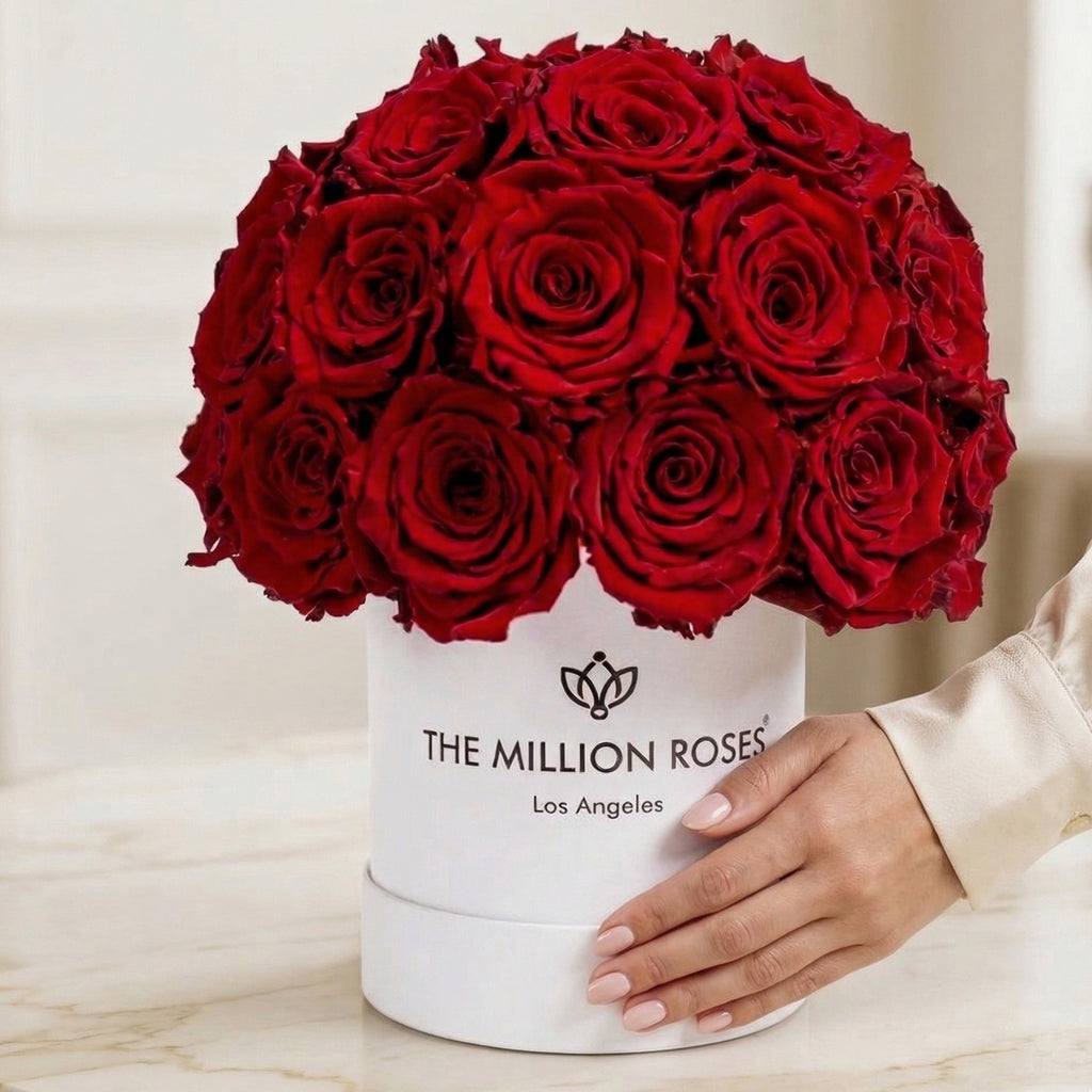 Red roses in white superdome box with hand
