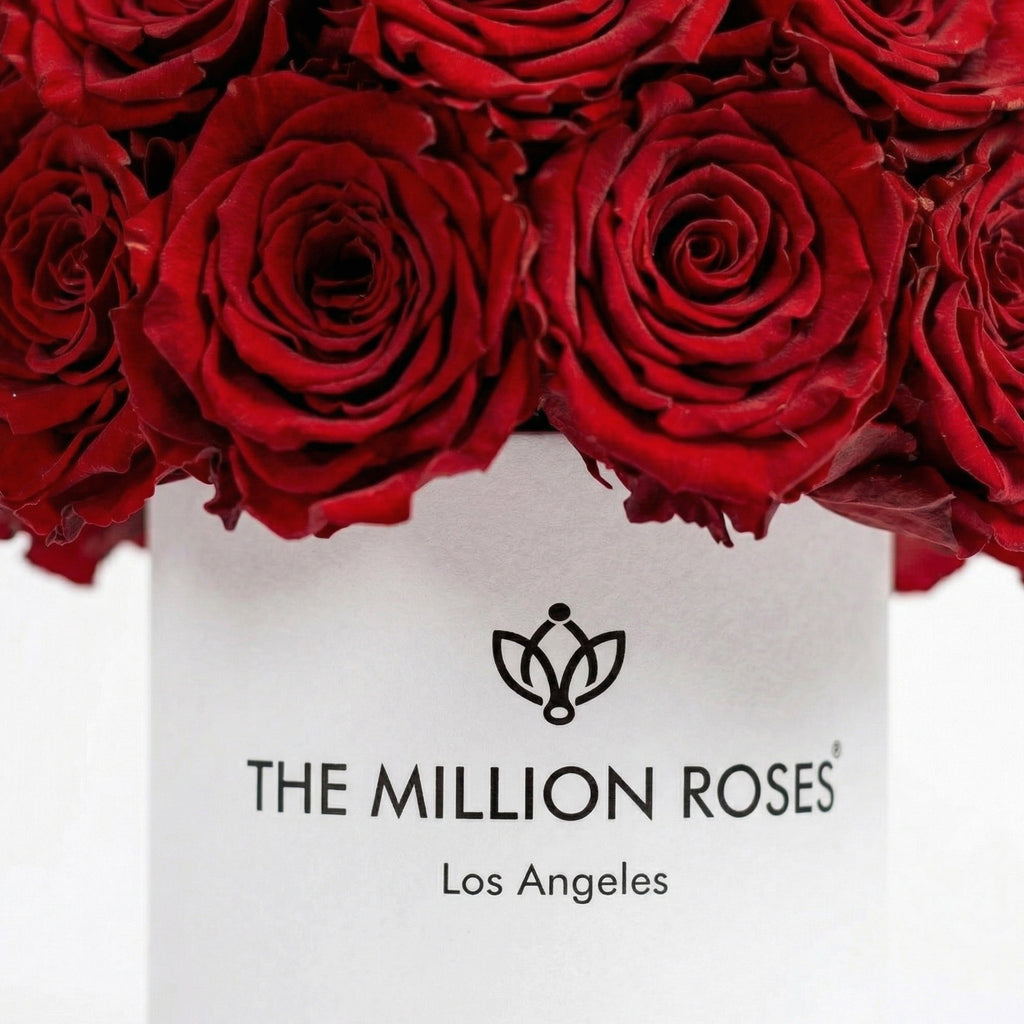 Close-up of red roses in white superdome box