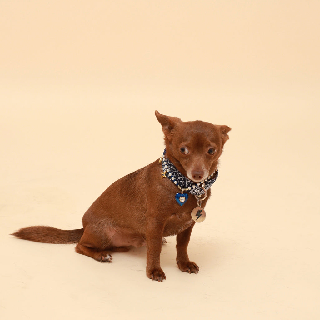 Blue paisley dog neckerchief with dark trim and heart-shaped charm