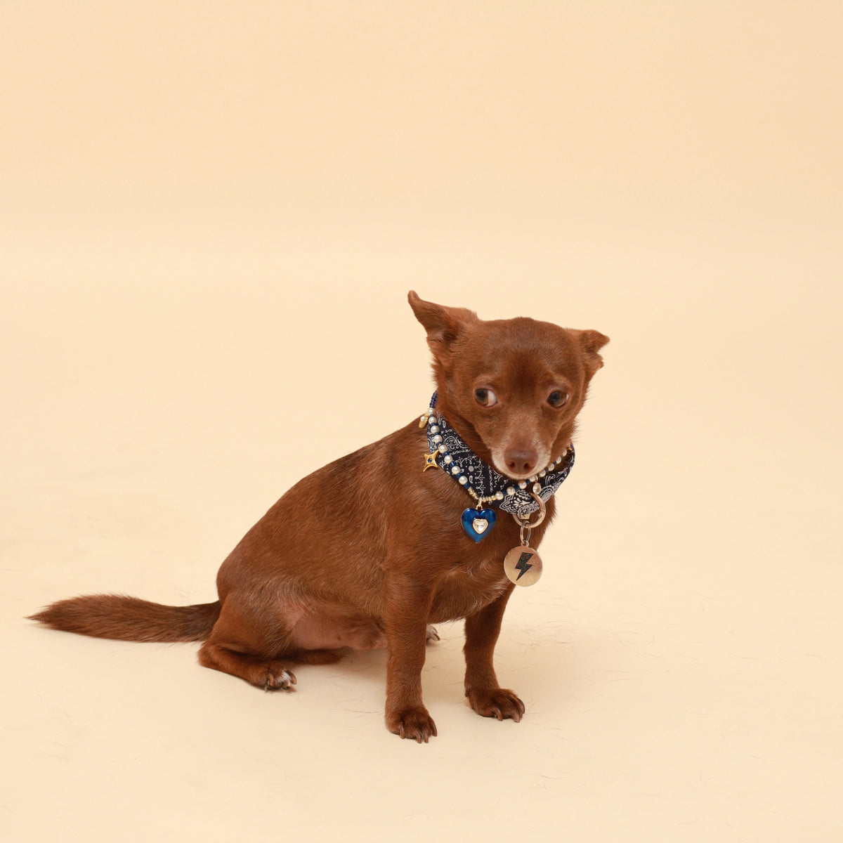 Blue paisley dog neckerchief with dark trim and heart-shaped charm