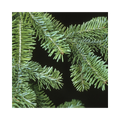 Green evergreen branch tips for wreaths and garlands bundle