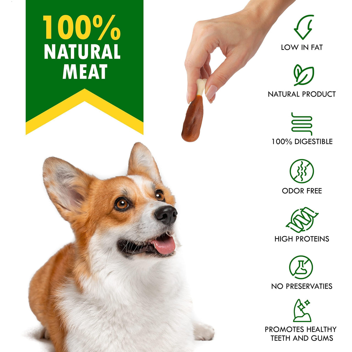 Dog chew pouch benefits with dog in frame and icons for low fat, digestible, odor free