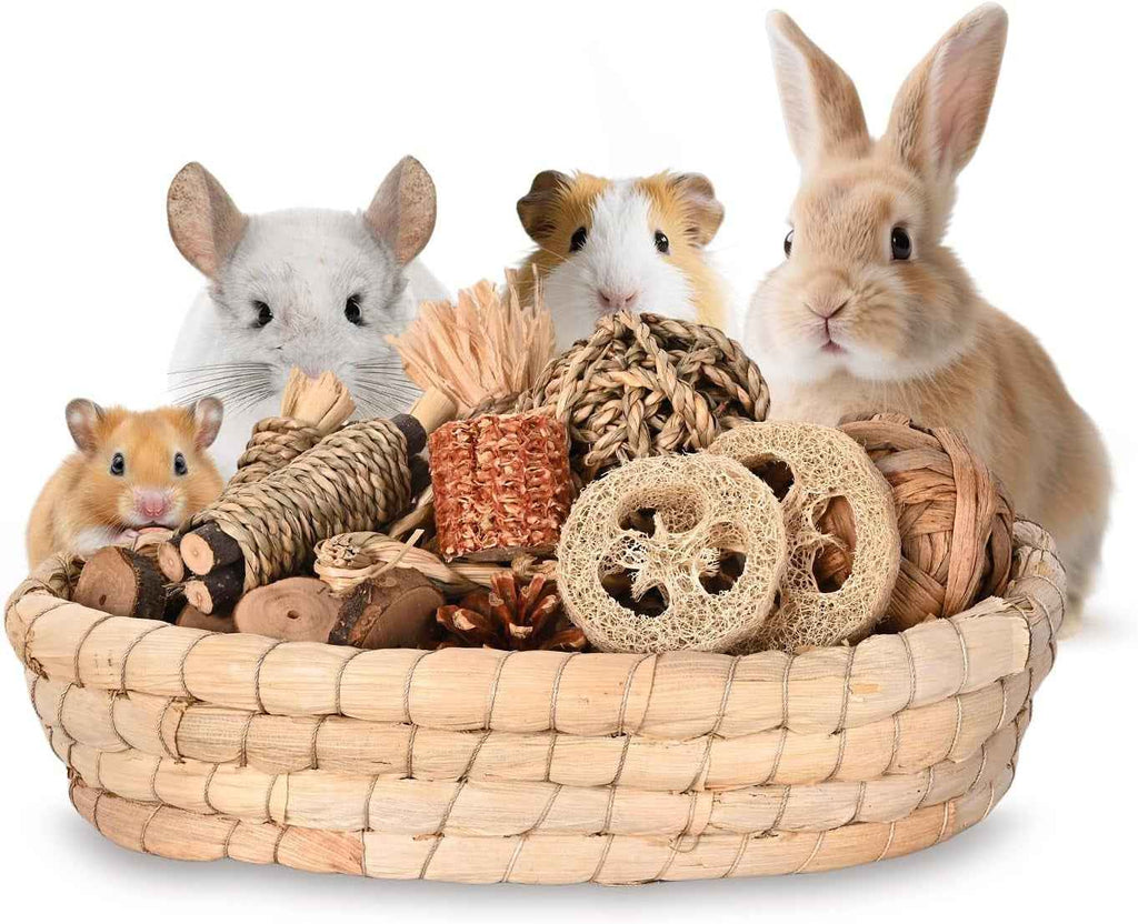 31-piece rabbit chew toy set with woven basket and assorted natural chew toys