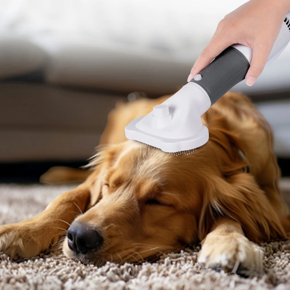 Pet dryer brush grooming a golden dog