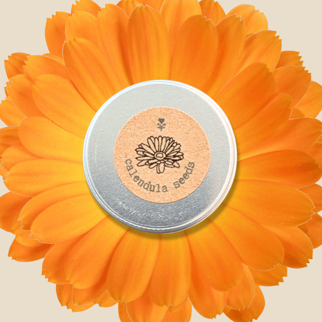 Calendula seed container tin with printed flower logo