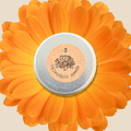 Calendula seed container tin with printed flower logo