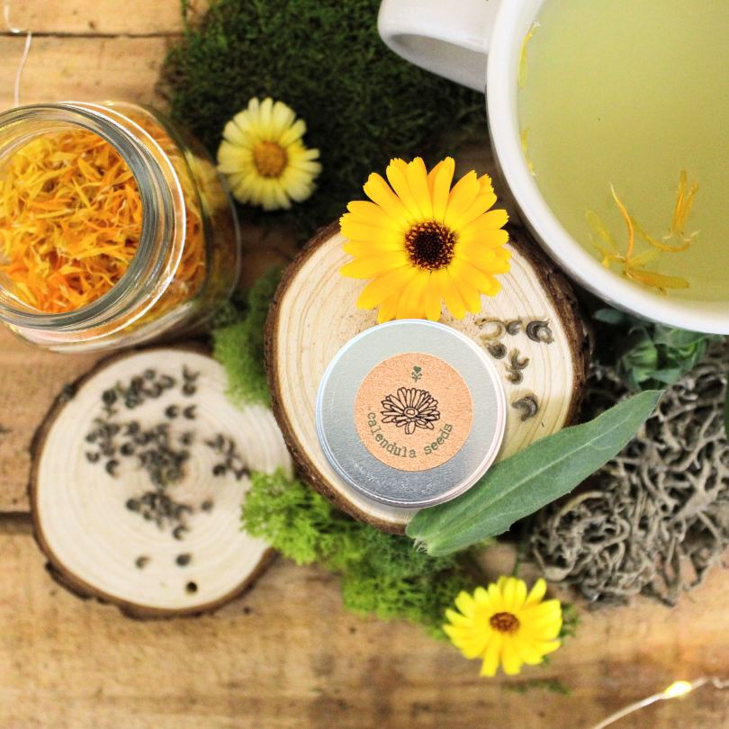 Calendula seed container tin with jars of dried seeds and green leaves
