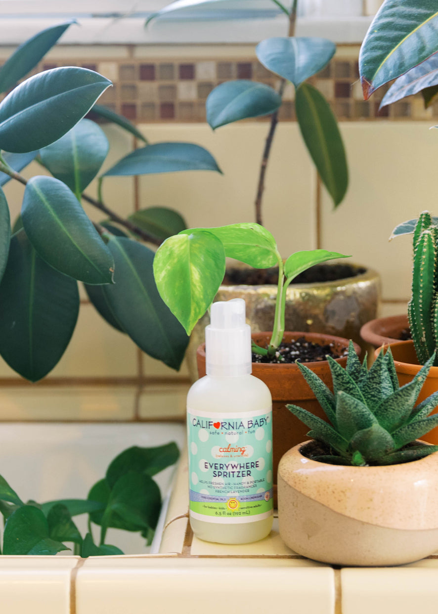Everywhere spritzer bottle with white pump on plant display