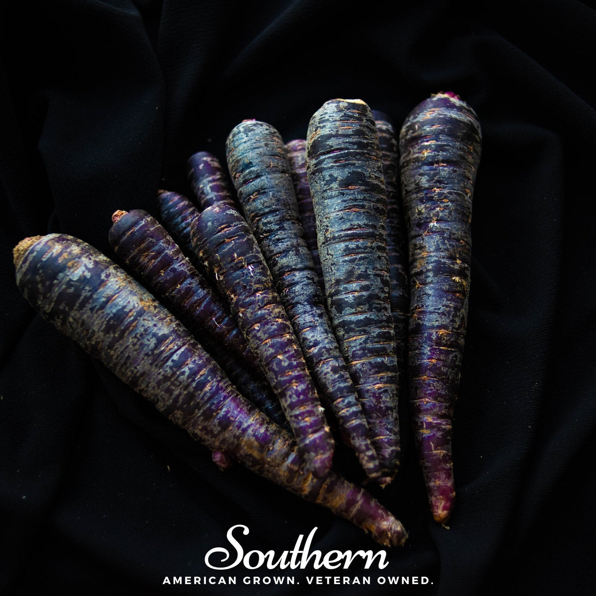 Dark purple carrots on black cloth, pointed roots