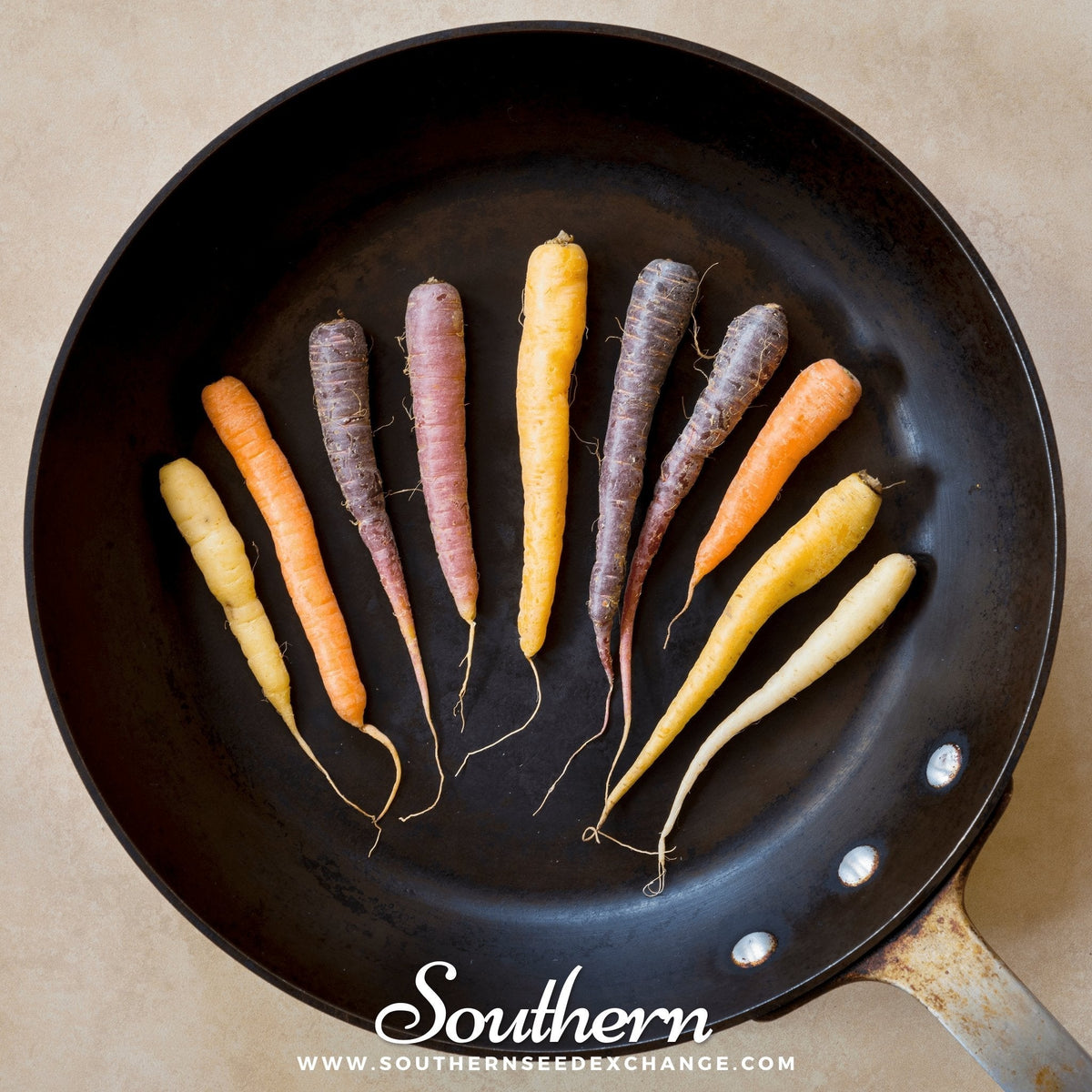 Rainbow carrot seeds, assorted mini carrots in skillet: yellow, purple, orange