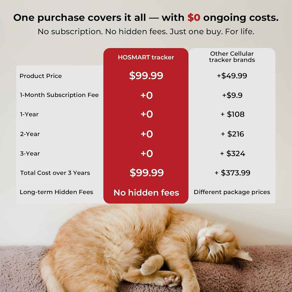 Sleeping cat beneath a comparison chart for tracker subscription costs