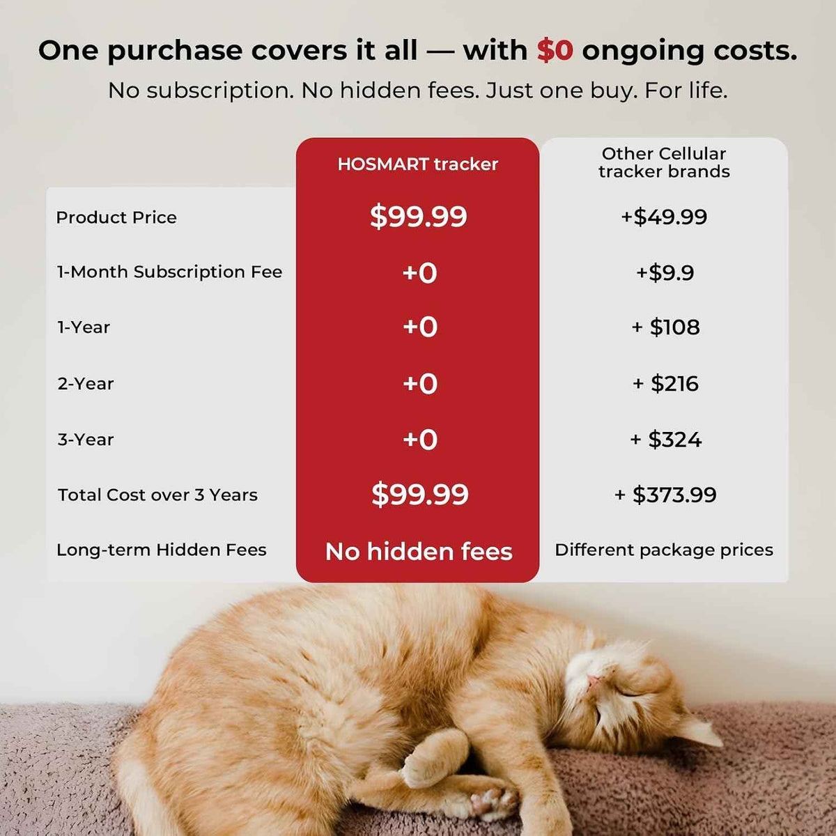 Sleeping cat beneath a comparison chart for tracker subscription costs