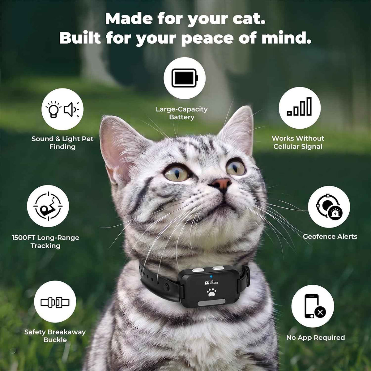Gray tabby cat wearing a black GPS tracker collar