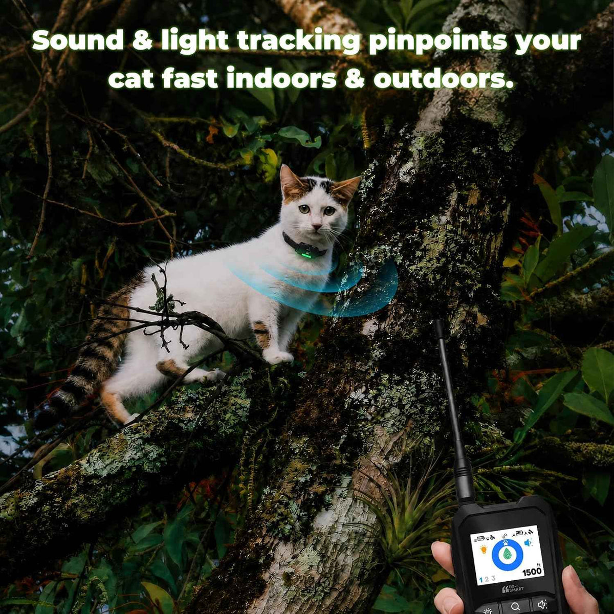 White cat wearing a tracker collar beside a handheld GPS receiver