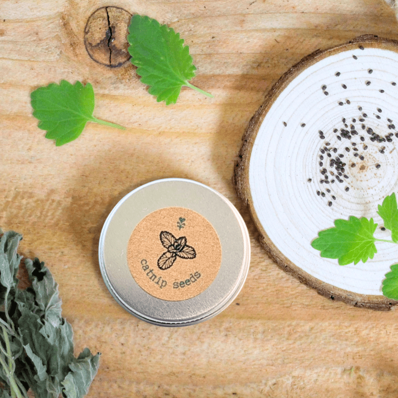 Round metal tin of catnip seeds with printed label