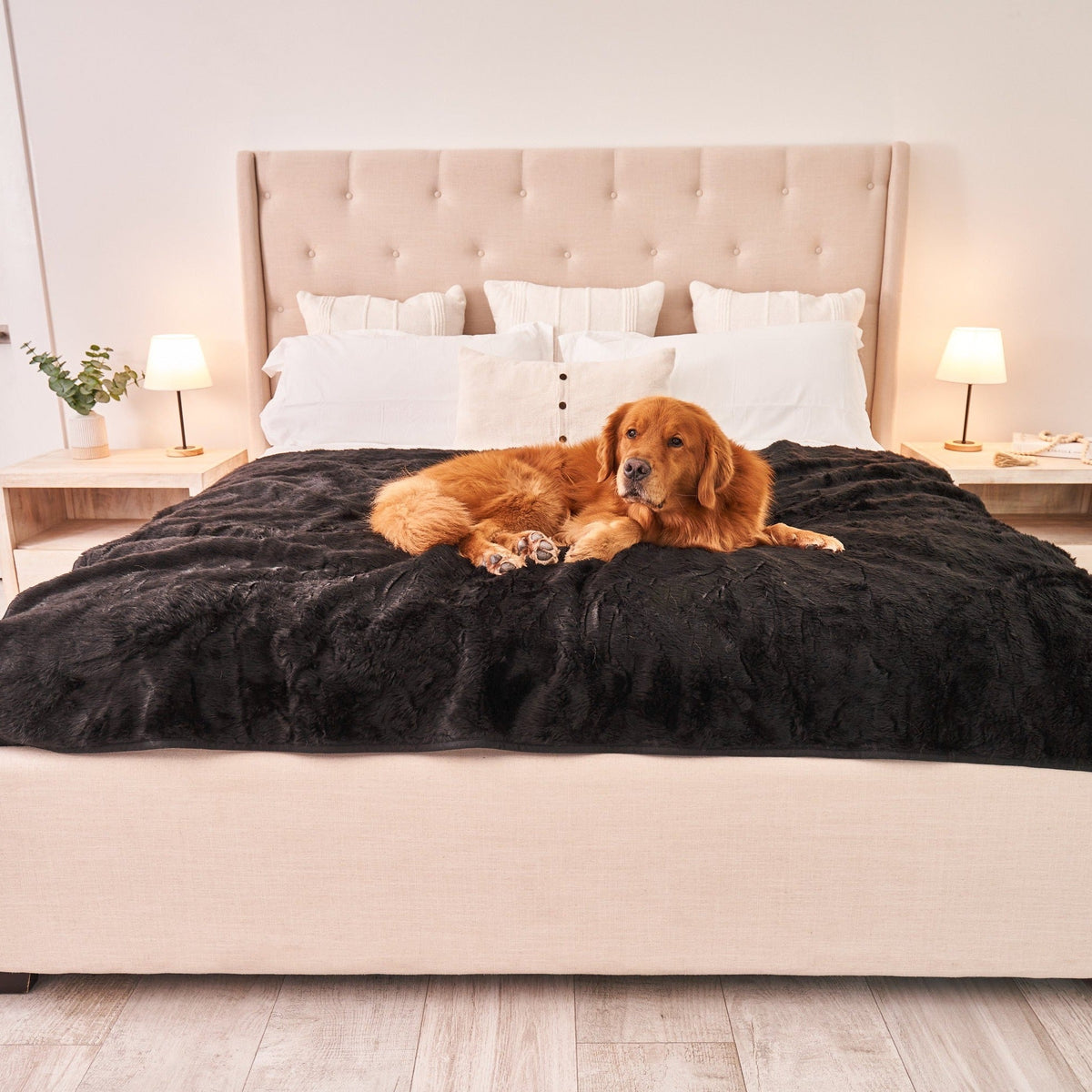 Midnight black faux-fur waterproof throw blanket covering bed, with retriever lying down.