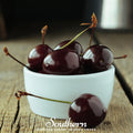 Black cherry seeds, dark cherries on stems in a white bowl