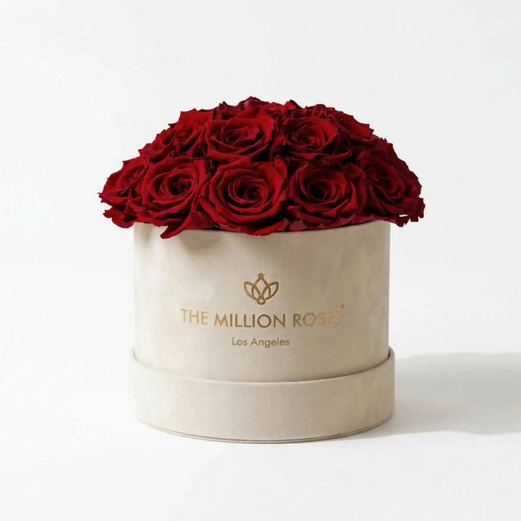 Beige dome box filled with red roses, gold logo on front