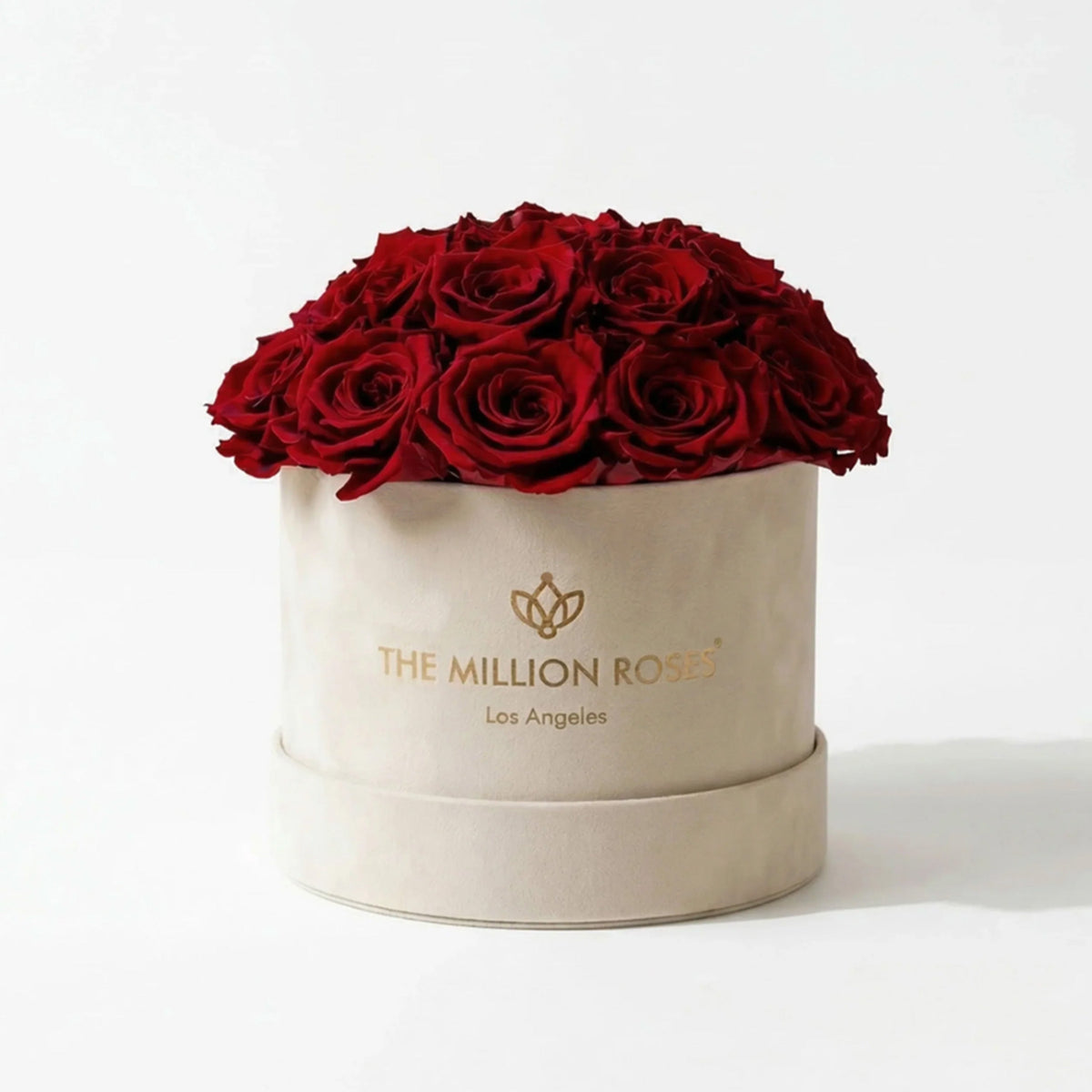 Beige dome box filled with red roses, gold logo on front