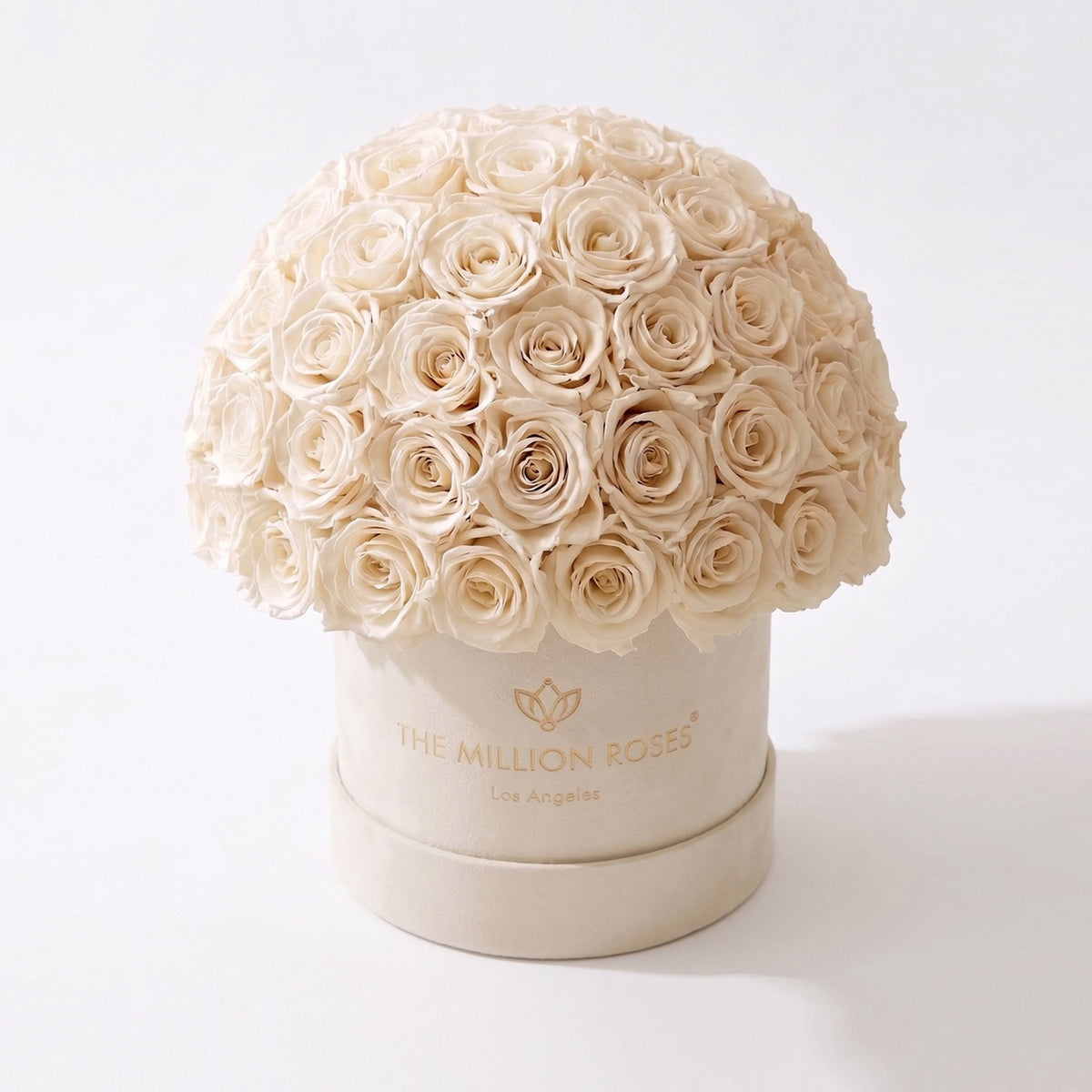 Cream rose hatbox-style flower arrangement in a round beige gift box