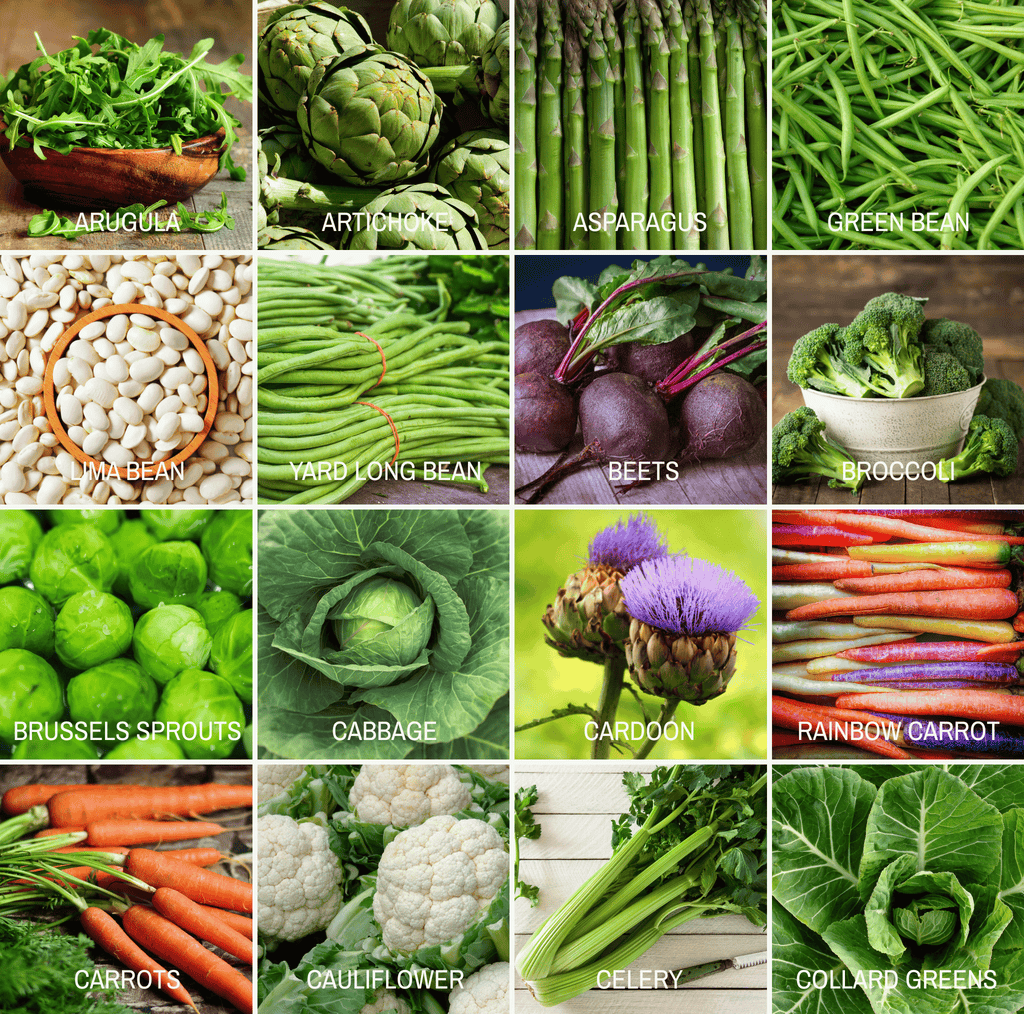 Seed variety photo grid of assorted vegetables in labeled rows