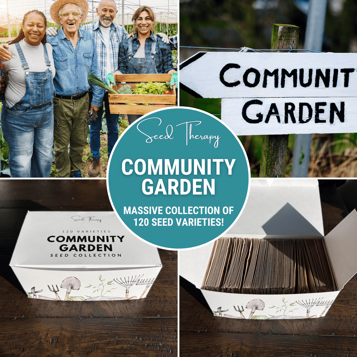 Community garden seed collection box shown with gardeners and close-up side views