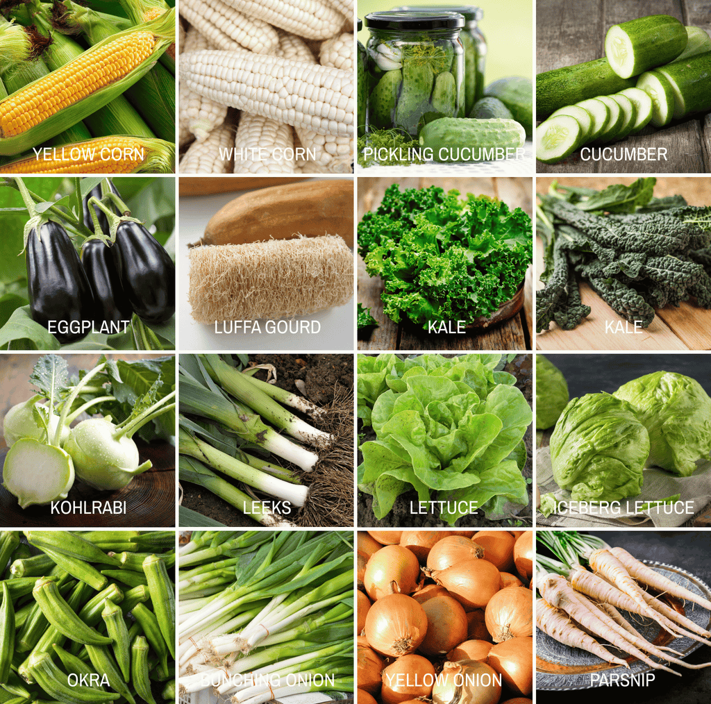 Seed variety photo grid of mixed vegetables including corn, cucumber, eggplant, and kale