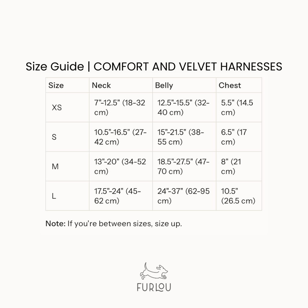 Size guide chart for comfort and velvet harnesses, neck, belly, and chest measurements