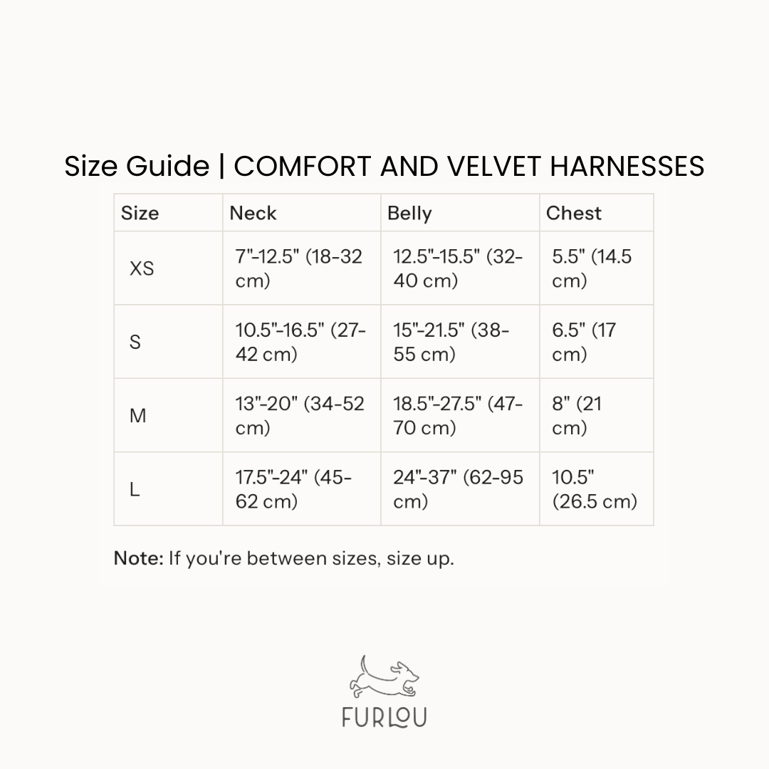 Size guide chart for Comfort and Velvet harnesses: neck, belly, and chest measurements