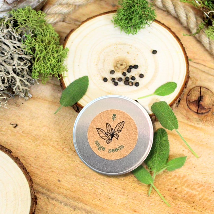 Sage seed tin on wood with leafy greens and seed dots around