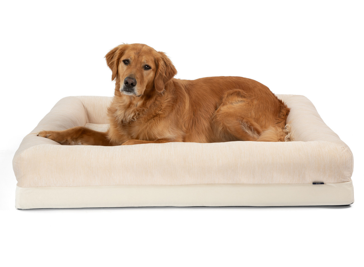 Arctic sand cooling 4-bolster dog bed with dog lying down, front bolster visible